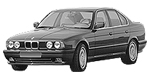 BMW E34 P243D Fault Code